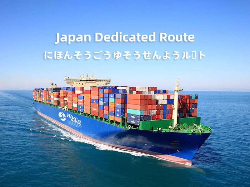Japan Dedicated Route